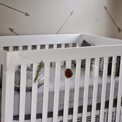Walker’s Nursery Reveal