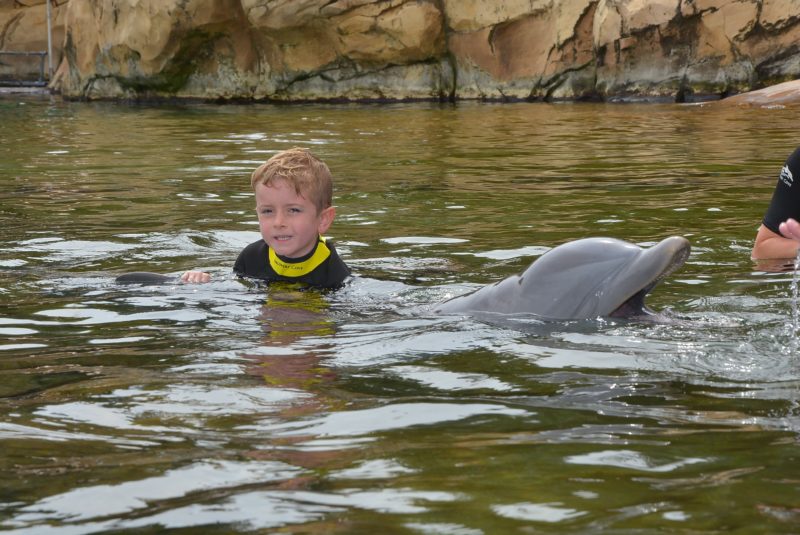 Discovery Cove Orlando