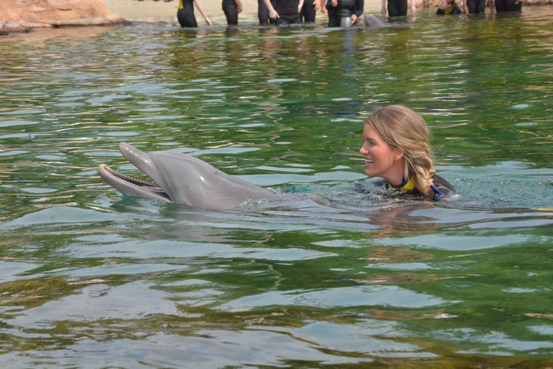 Discovery Cove Orlando