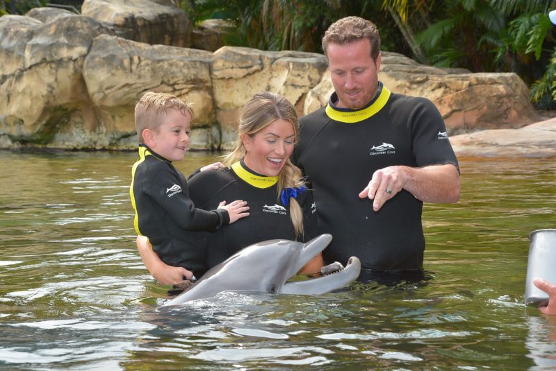 Discovery Cove Orlando