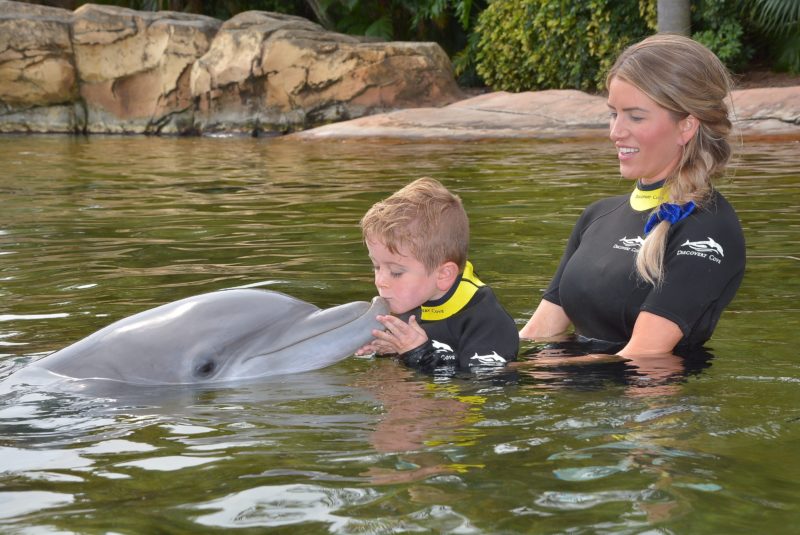 Discovery Cove Orlando