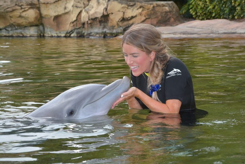 Discovery Cove Orlando